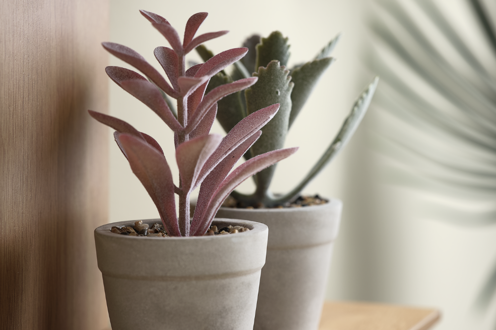 Изкуствени растения