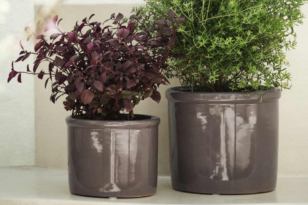 Градински саксии