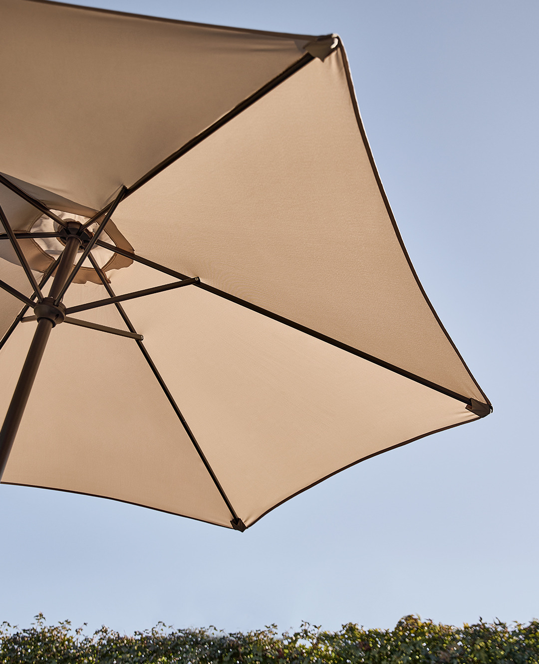 Градински чадър, погледнат отдолу